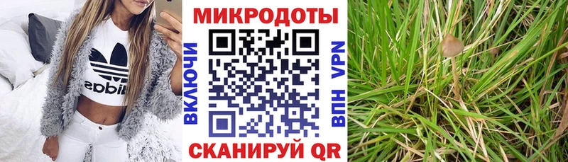 мориарти официальный сайт Азов гидра маркетплейс Галлюциногенные грибы ЛСД что такое