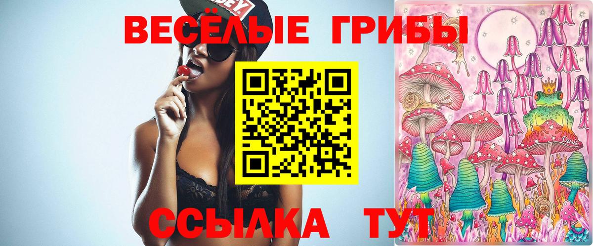 где продают   Псилоцибиновые грибы Magic Shrooms  Вход с VPN  Галлюциногенные грибы мицелий  Азов 