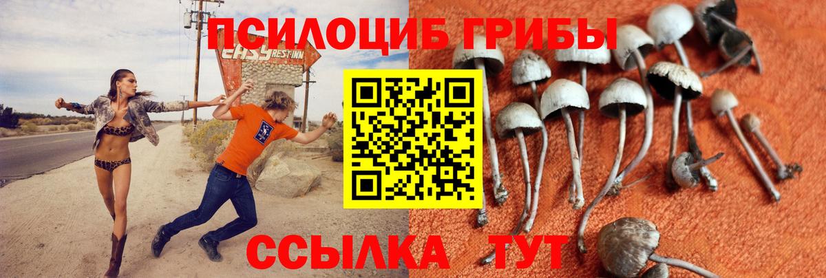 Галлюциногенные грибы Cubensis Азов